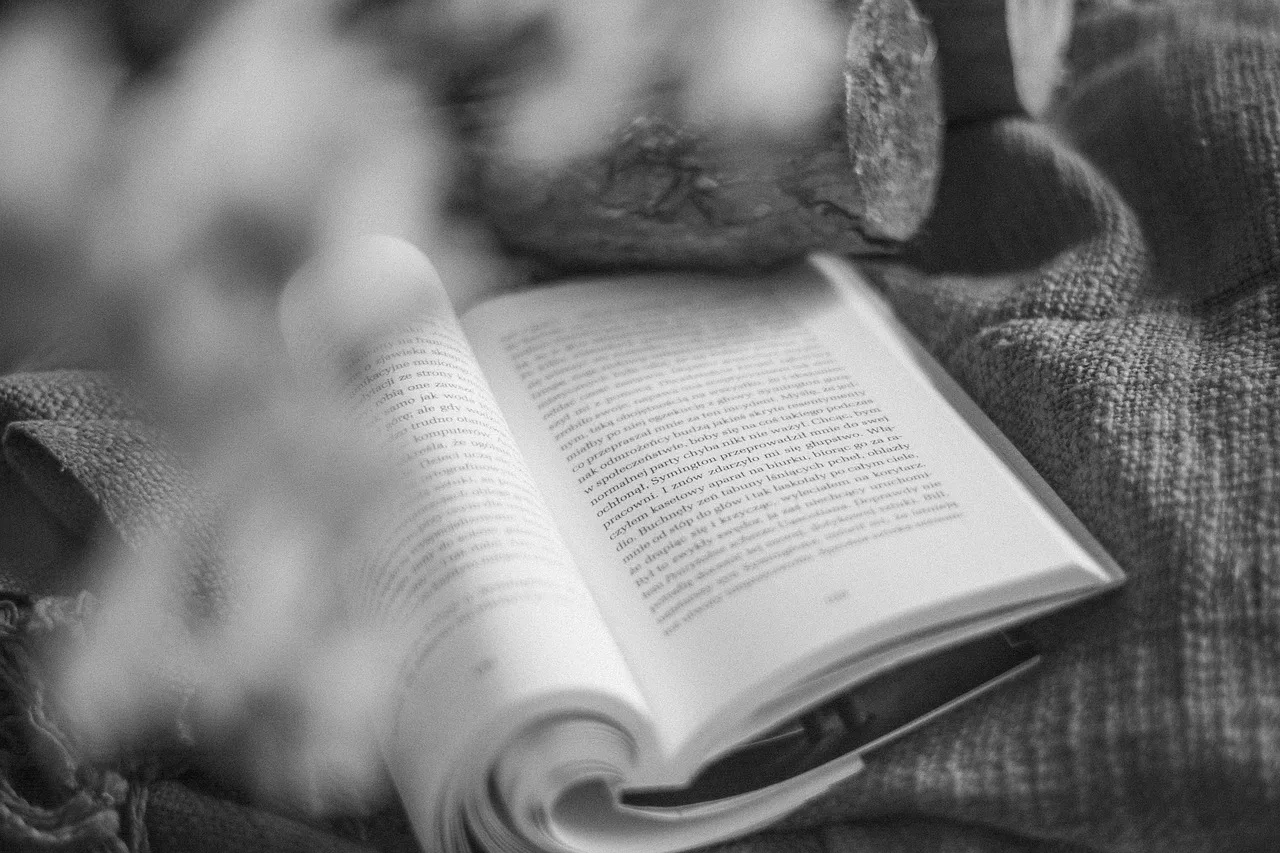 Kitap rafı monokrom portresi - edebiyat ve bilgelik