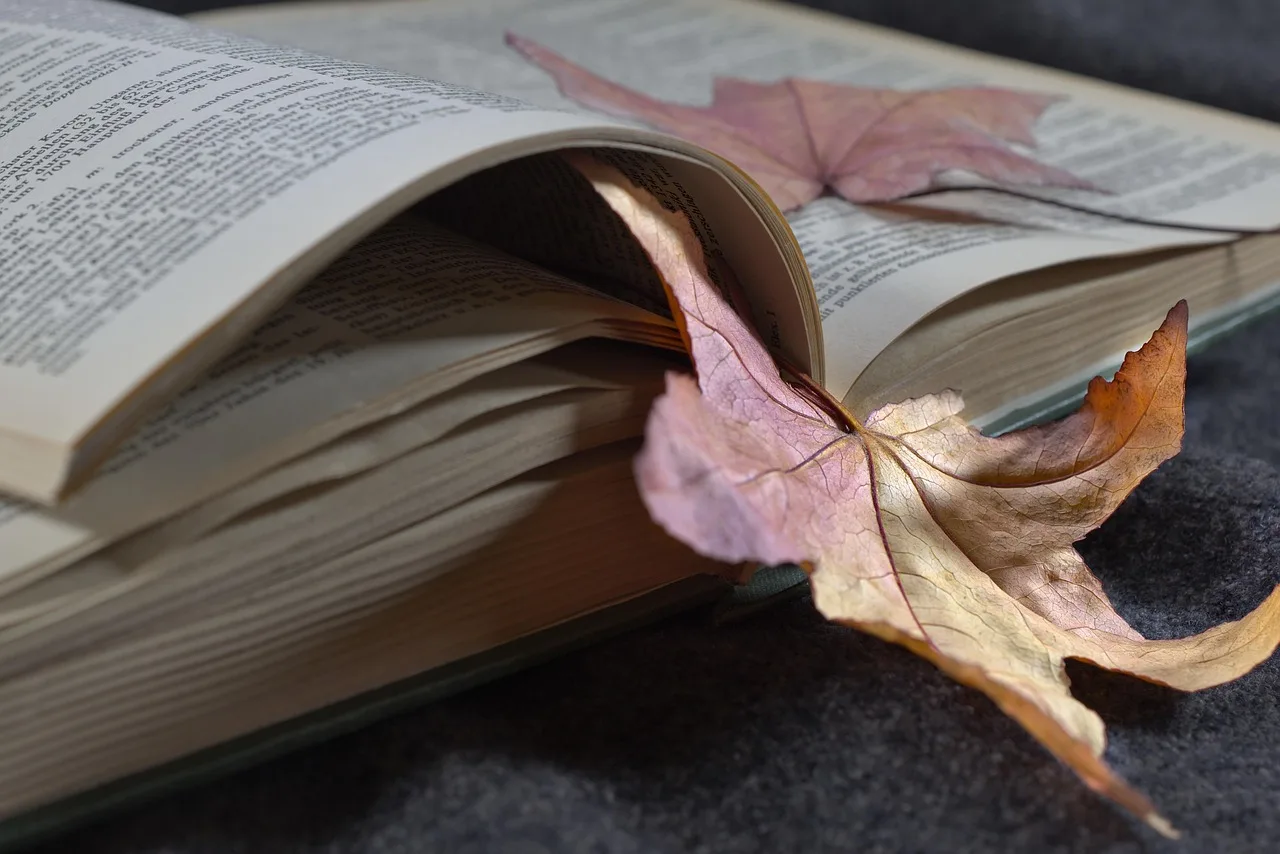 Kitap sayfaları ve akçaağaç yaprağı - sonbahar doğa