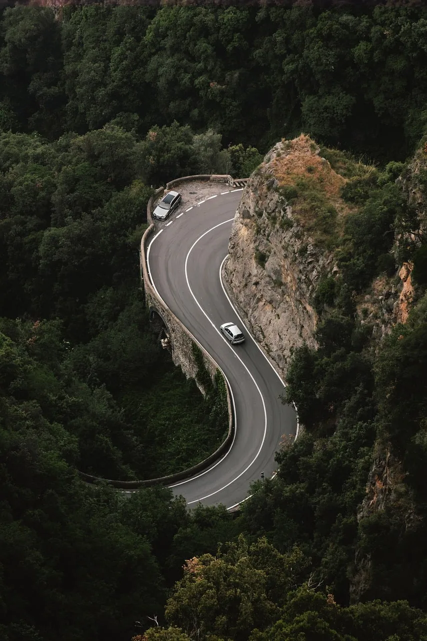 Kıvrımlı yol ve orman manzarası - doğa fotoğrafı Kıvrımlı yol ve orman manzarası - doğa fotoğrafı