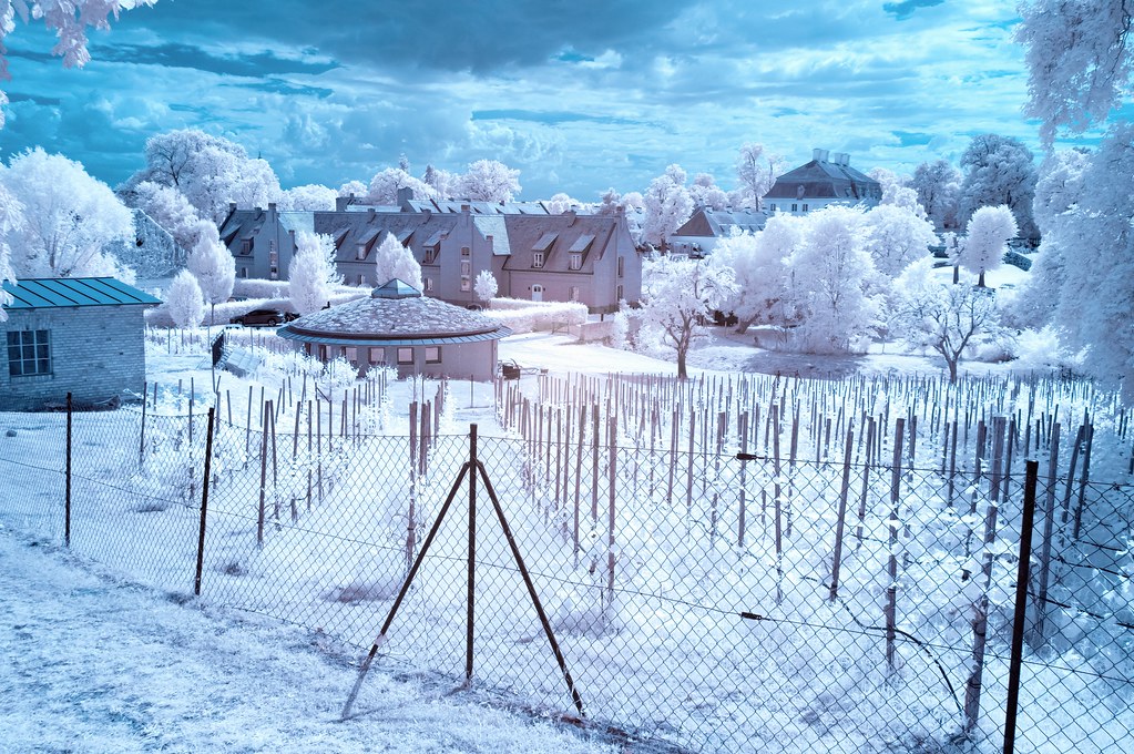 Kızılötesi Fotoğrafçılıkla Çekilmiş Büyüleyici Kırsal Manzara