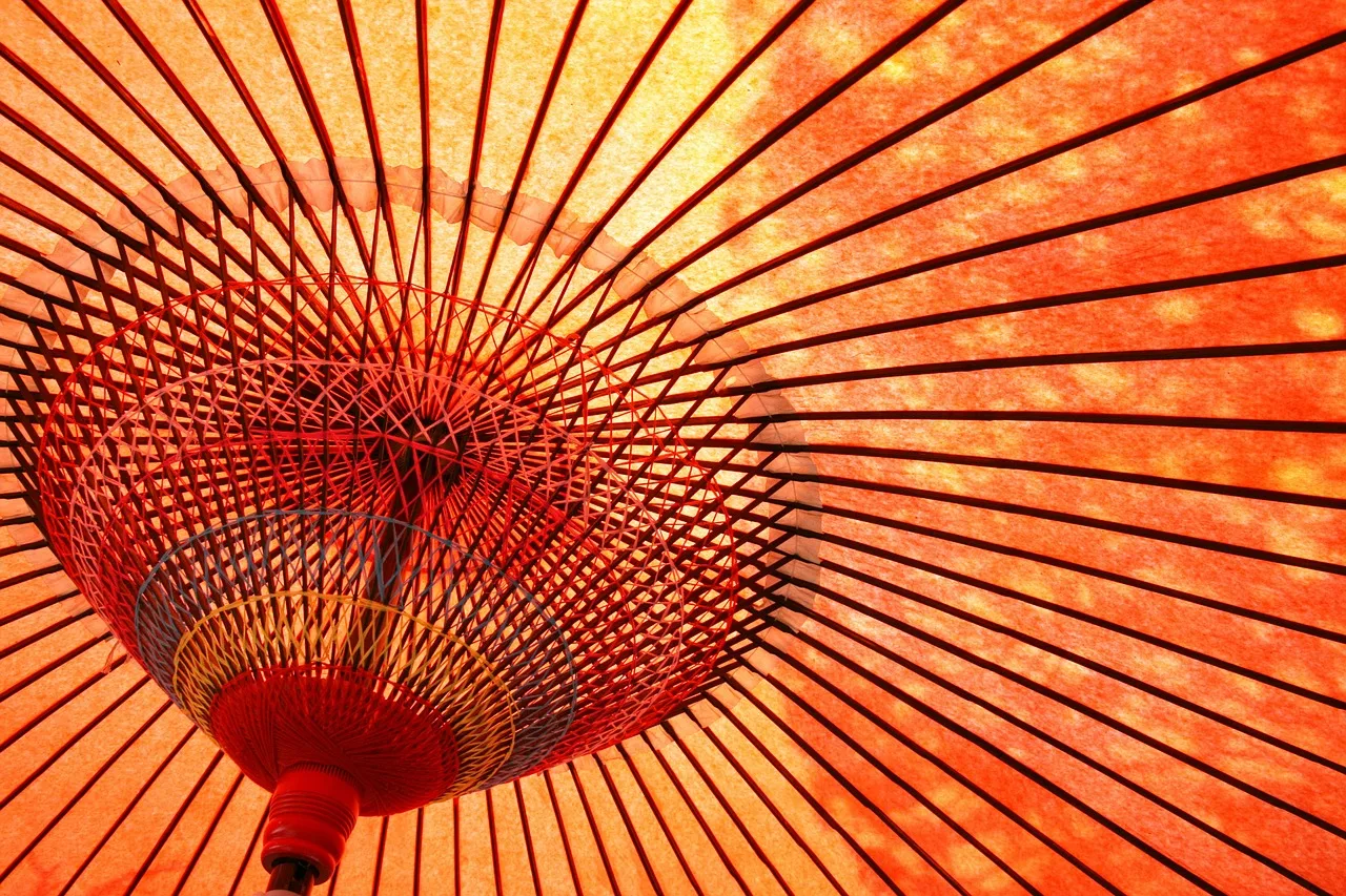 Klasik Japon kağıt şemsiyesi - geleneksel Kyoto kültürü