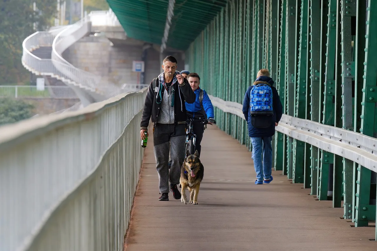 köprüde yürüyen bisikletli ve köpek - şehir yaşamı köprüde yürüyen bisikletli ve köpek - şehir yaşamı