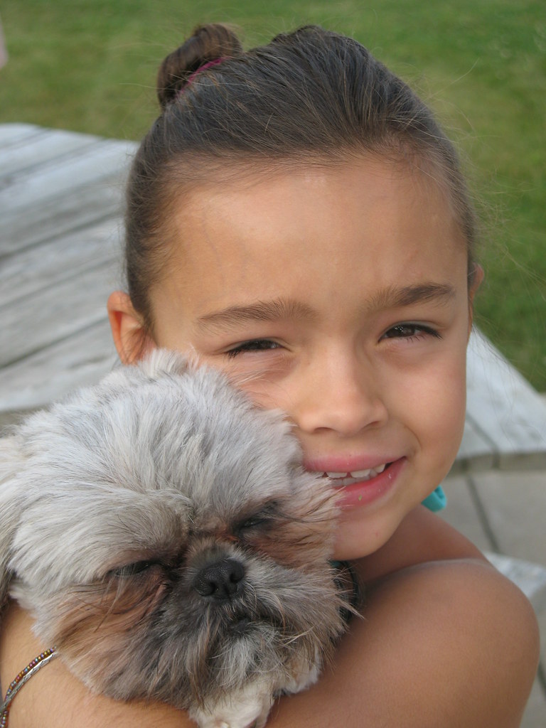Küçük Kız Çocuğu Gözlerini Yummuş Sevimli Shih Tzu Köpeğini Kucaklıyor Küçük Kız Çocuğu Gözlerini Yummuş Sevimli Shih Tzu Köpeğini Kucaklıyor