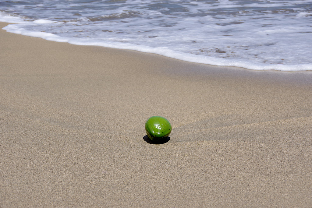 Kumsalın Ortasında Tek Başına Duran Yeşil Limon ve Deniz Köpüğü