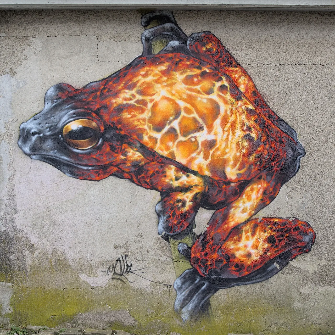 Kurbağa temalı duvar resmi graffiti sanatı