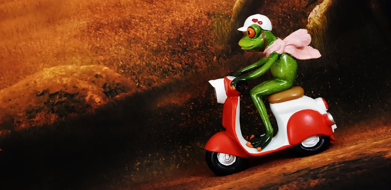 Kurbağa vespa scooterda eğlenceli hareket