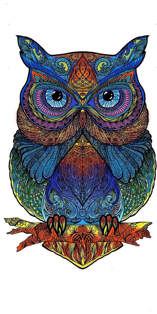 Kurt mandala deseni - vintage renkli çizgi sanatı