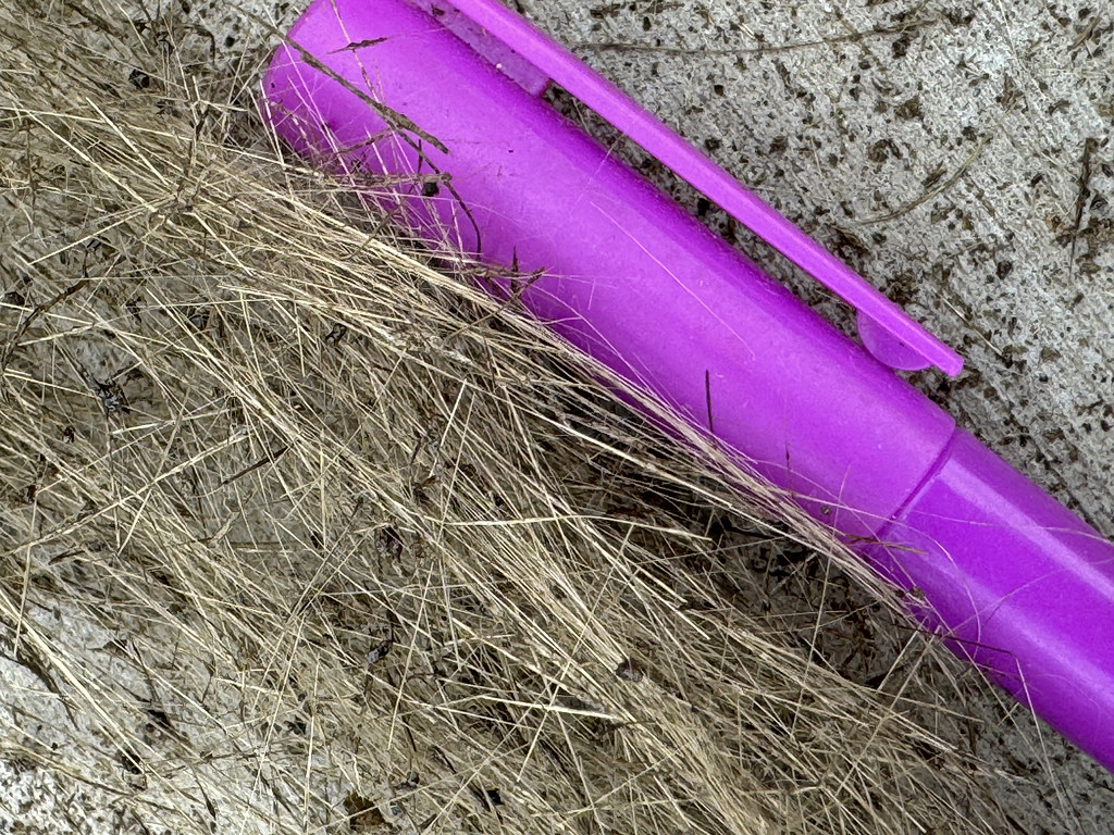 Kuru otlar arasında betonda unutulmuş parlak mor plastik nesne yakın çekimi