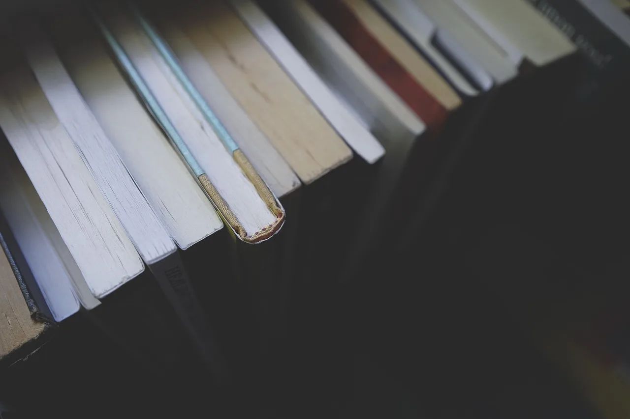 Kütüphane kitap dolu okuma köşesi