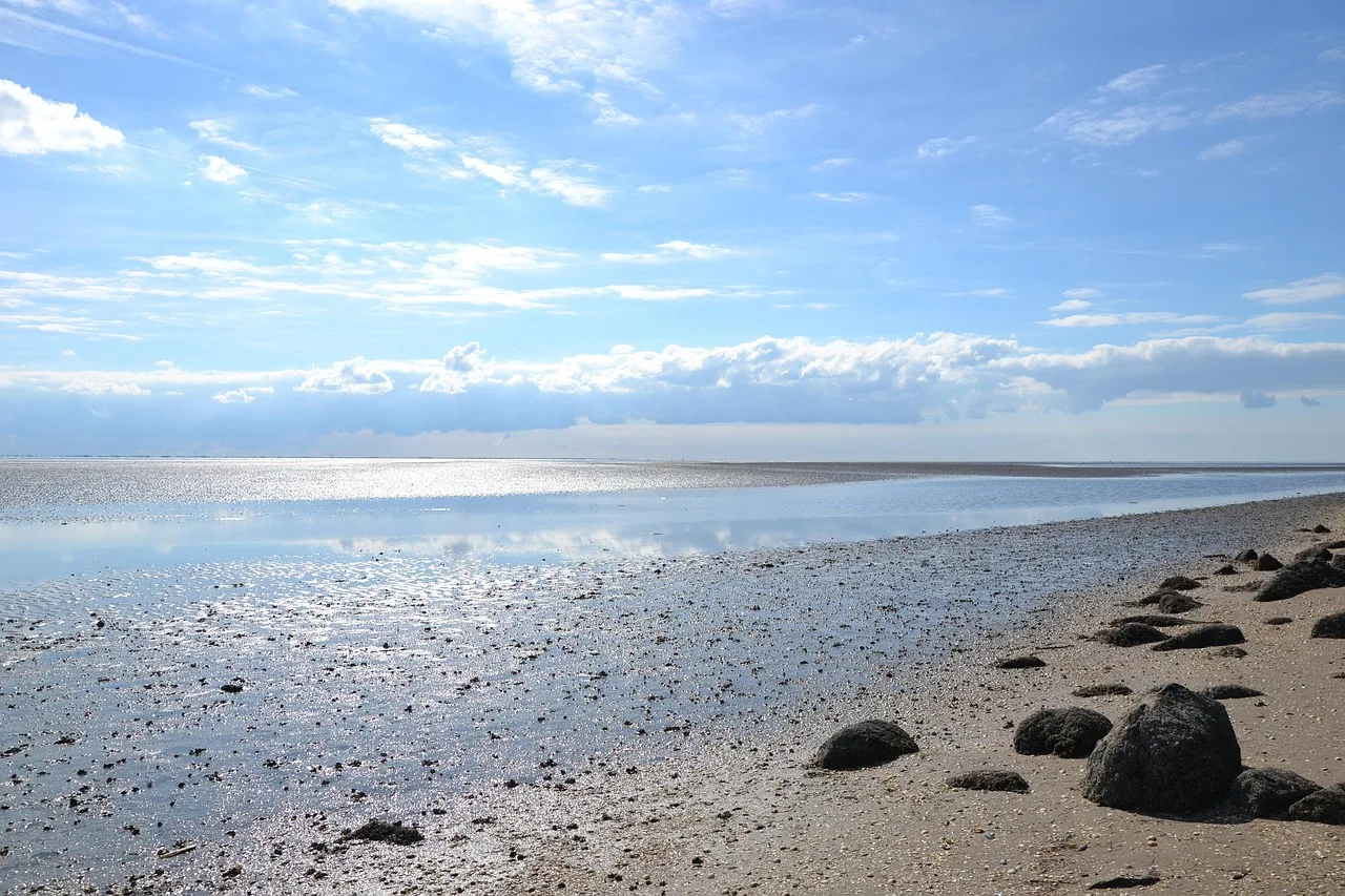 Kuzey Denizi kıyısında gelgit dalgası - Wadden Denizi