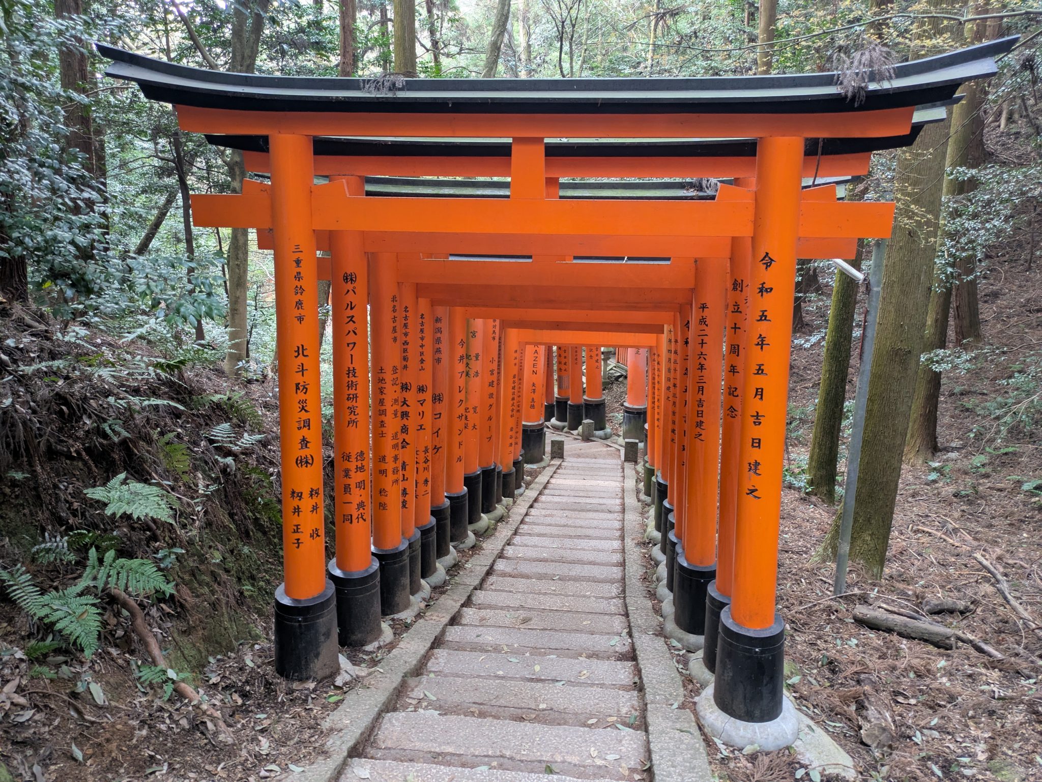 Kyoto'nun Meşhur Turuncu Kapıları: Fushimi Inari Tapınağı Torii Yolu