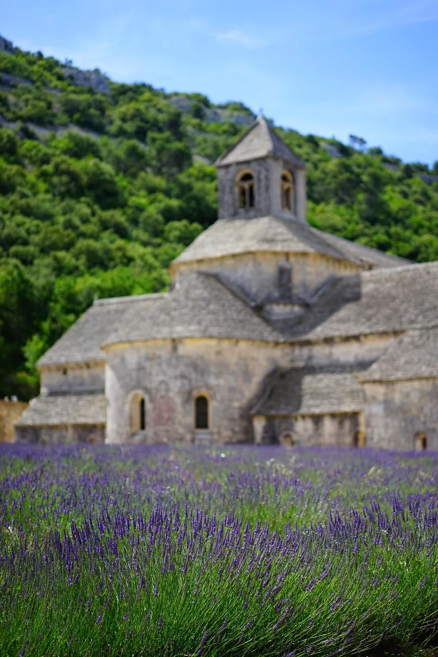 Lavanta tarlası manzarası - Provençal köy