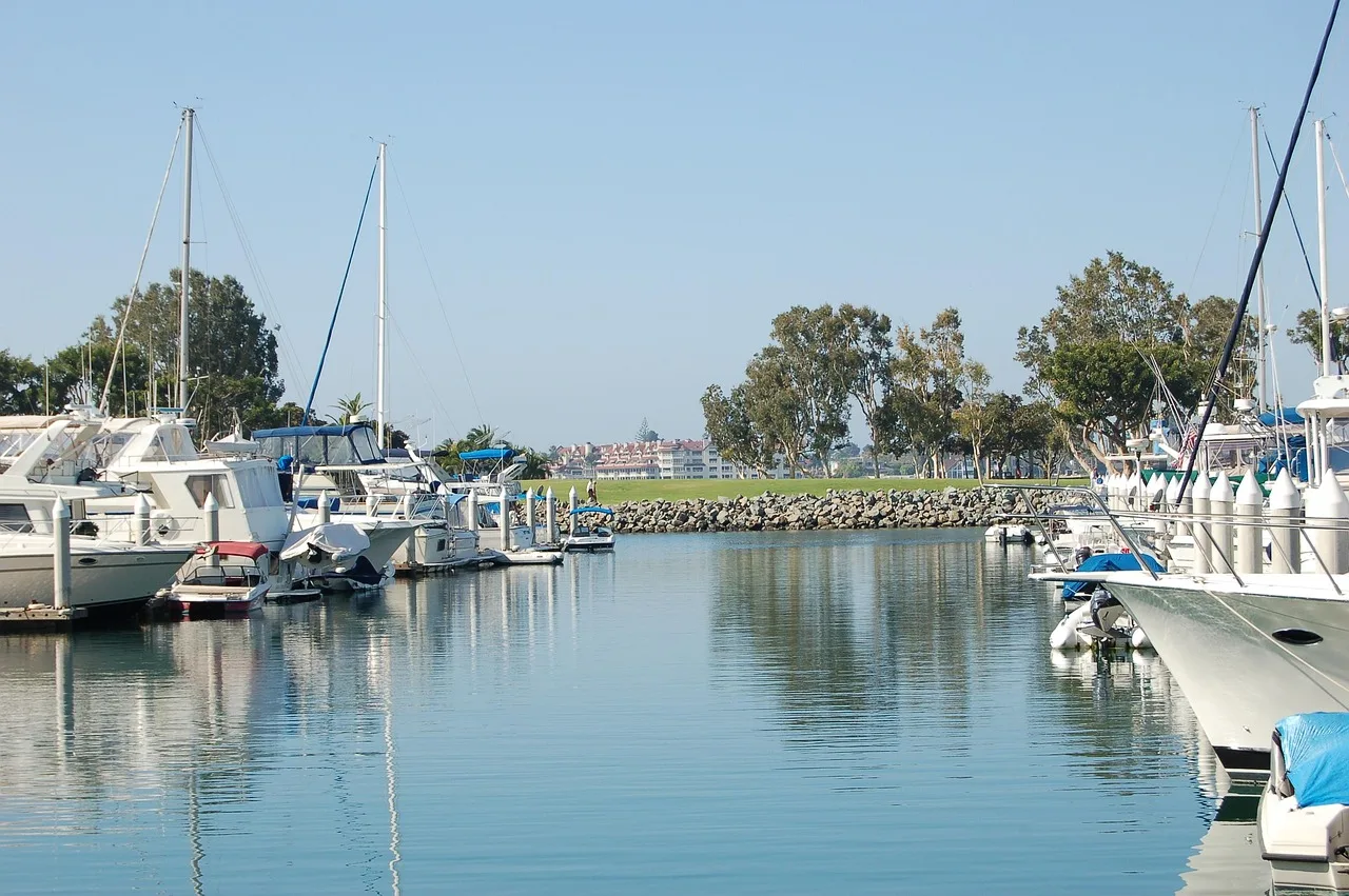 Marina manzaralı San Diego limanı - deniz ve tekneler