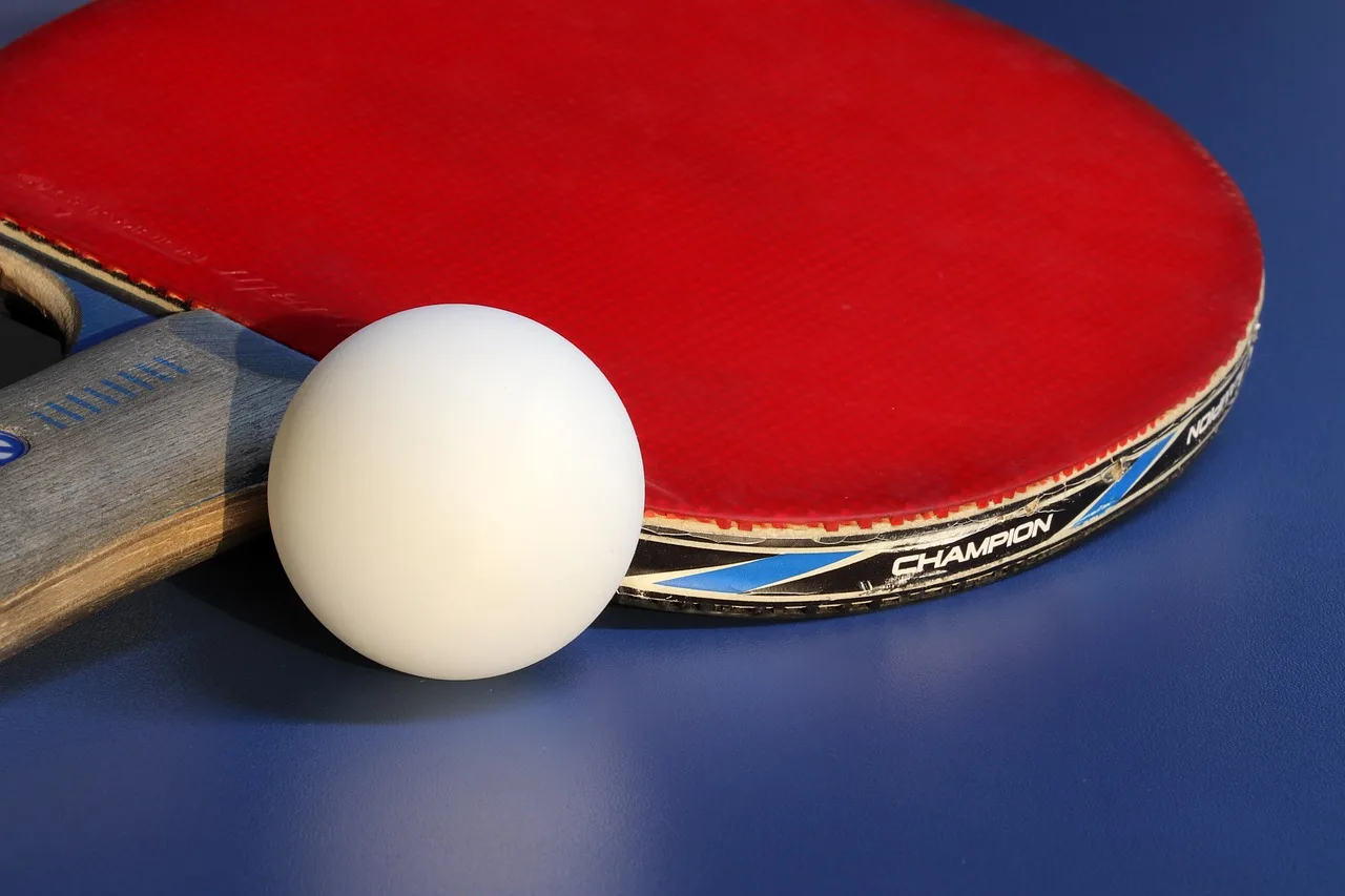 Masa tenisi oyunu - ping pong raketi