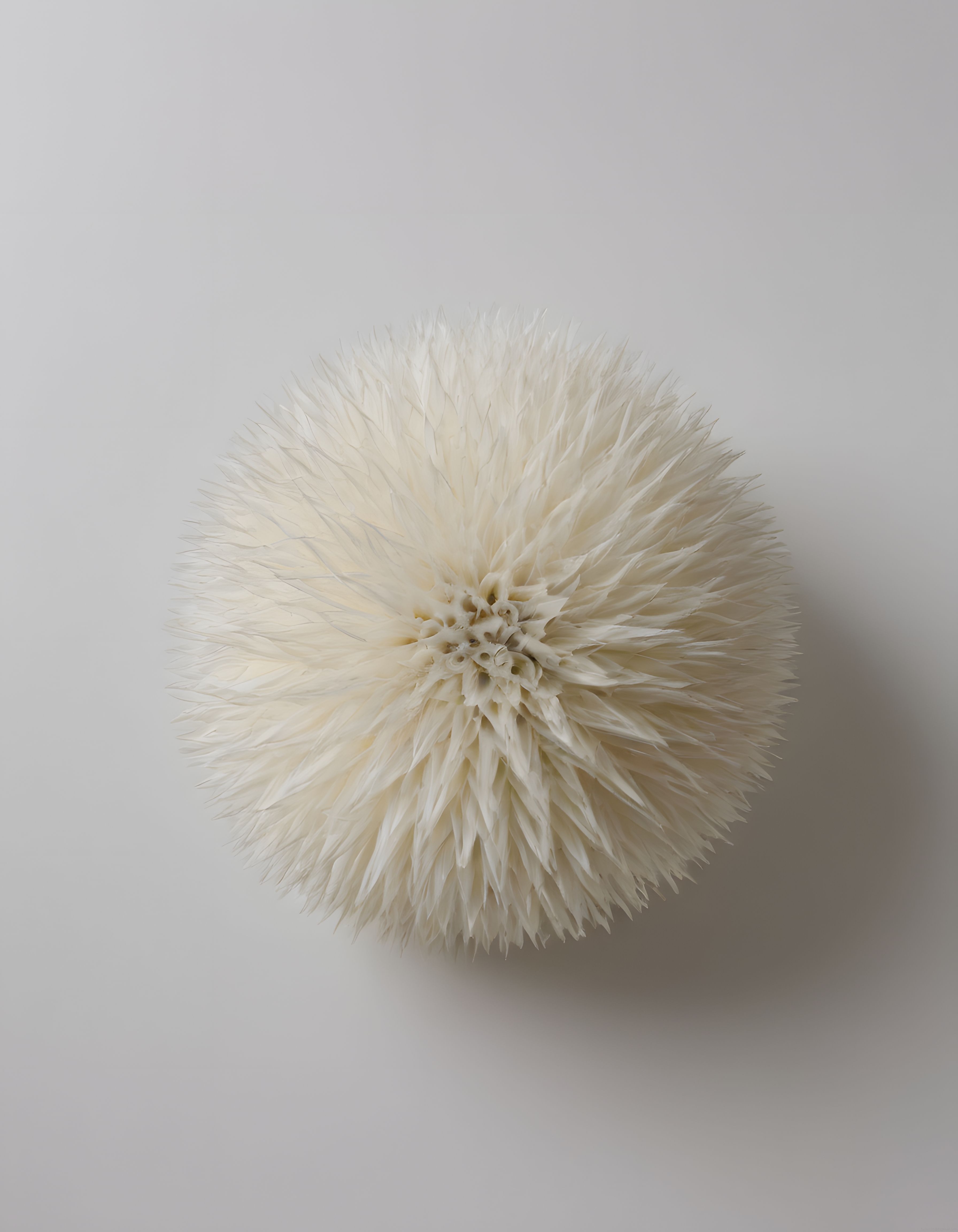 Merkezden Uzanan Beyaz Dokularla Organik Minimalist Sanat Eseri