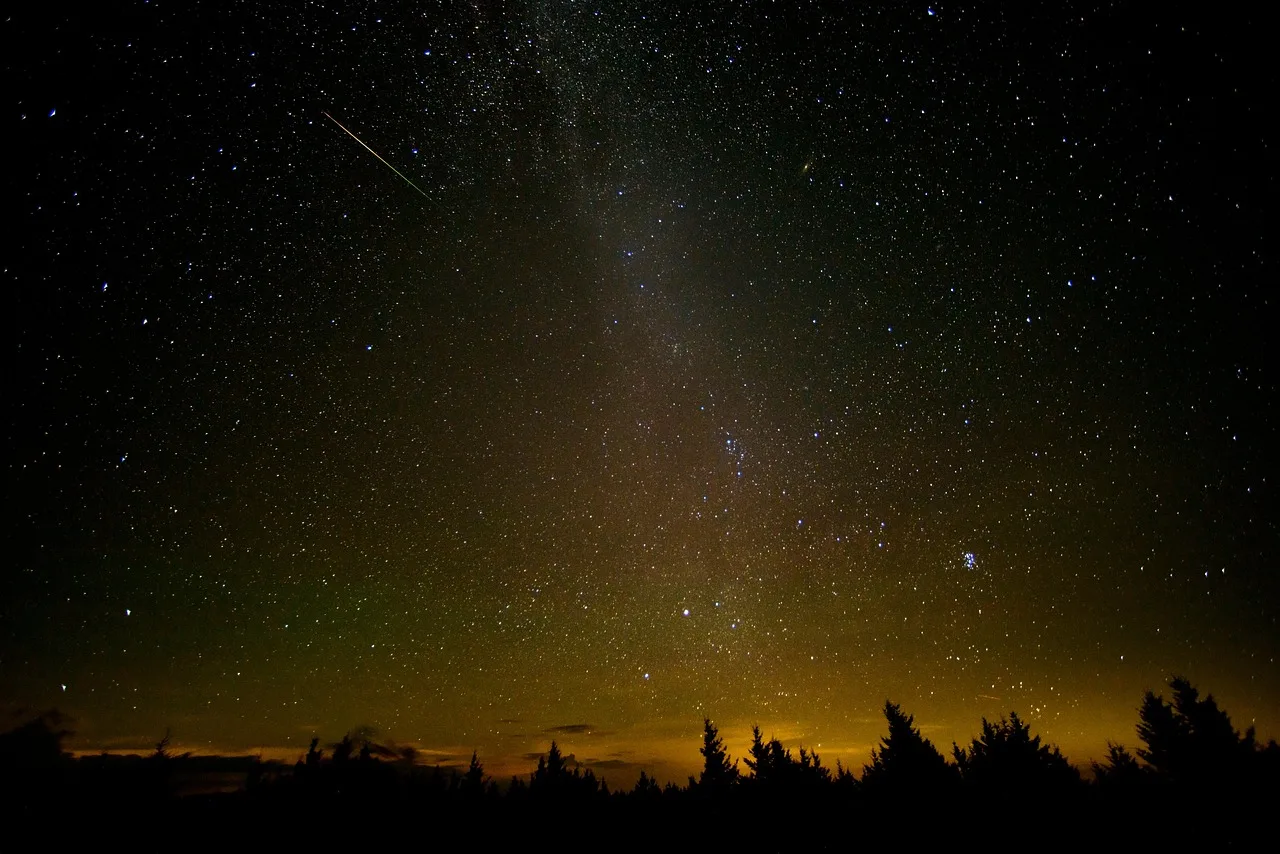 Meteor yağmuru siluetli ağaçlar - gece gökyüzü