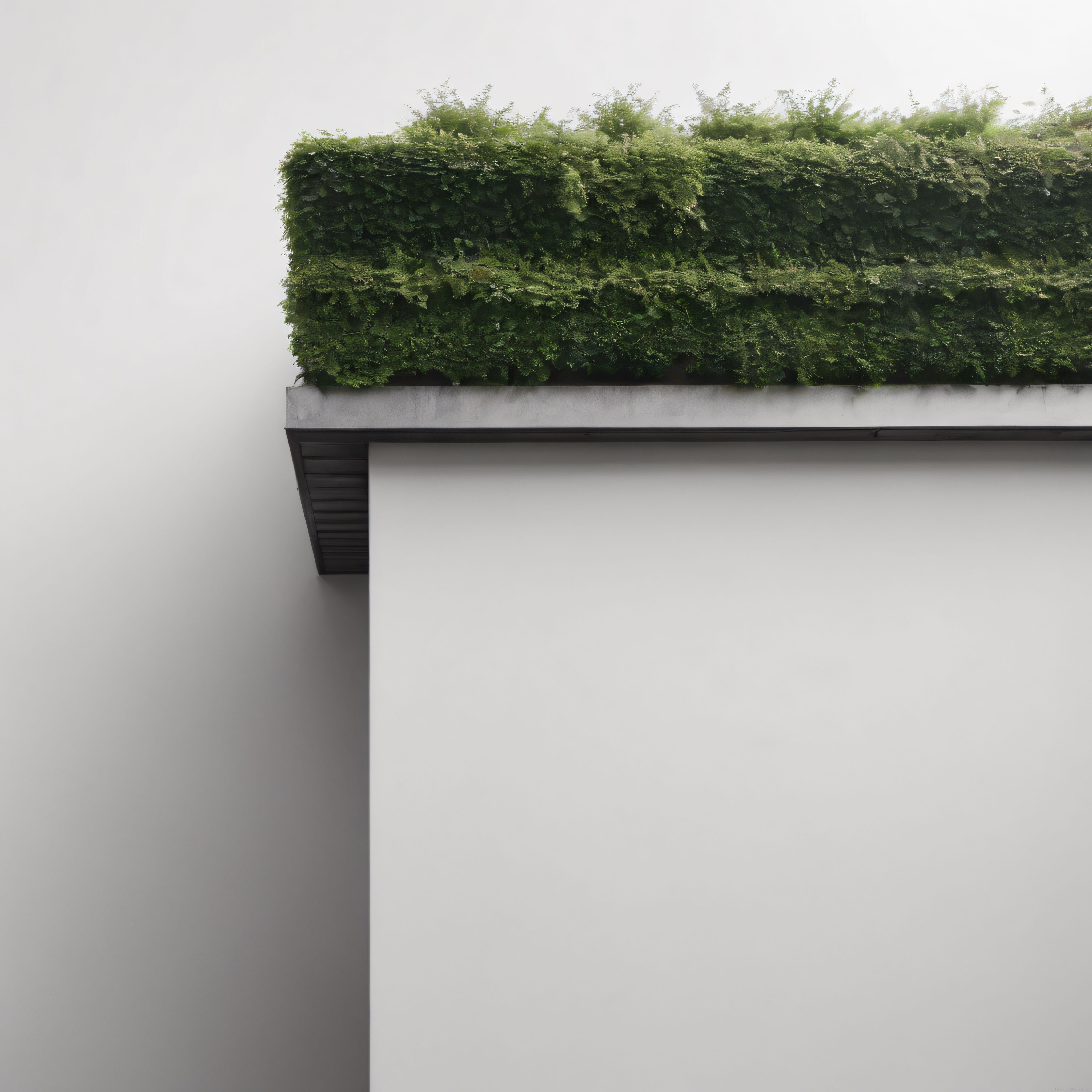 Minimalist Beyaz Duvarlar Üzerinde Sürdürülebilir Yeşil Çatı Bahçesi