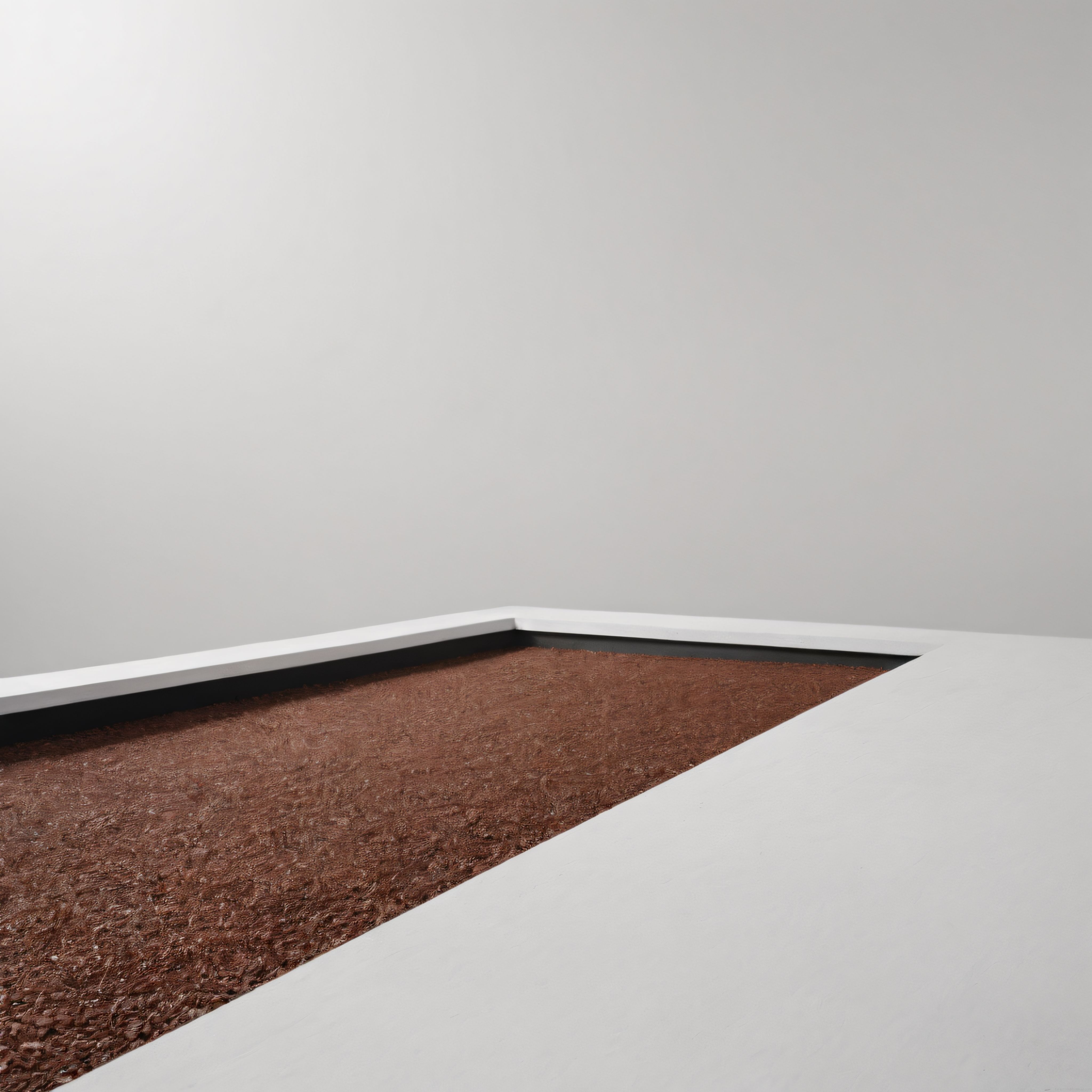 Minimalist Beyaz İç Mekanda Topraklı Kare Boşluk ve Çağdaş Mimari Detay