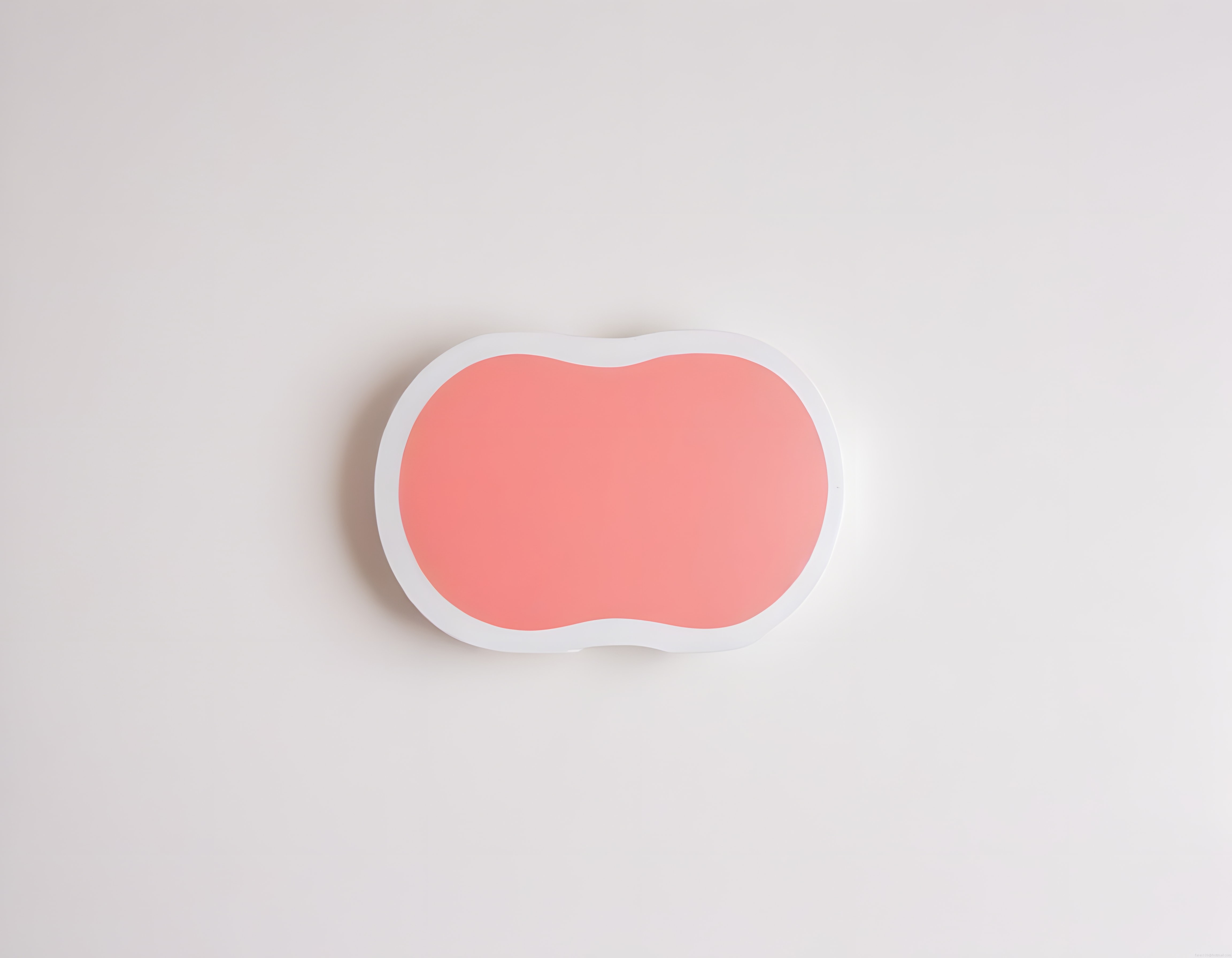Minimalist Mercan Tonda Organik Şekilli Modern Duvar Dekoru ve Soyut Tablo Tasarımı