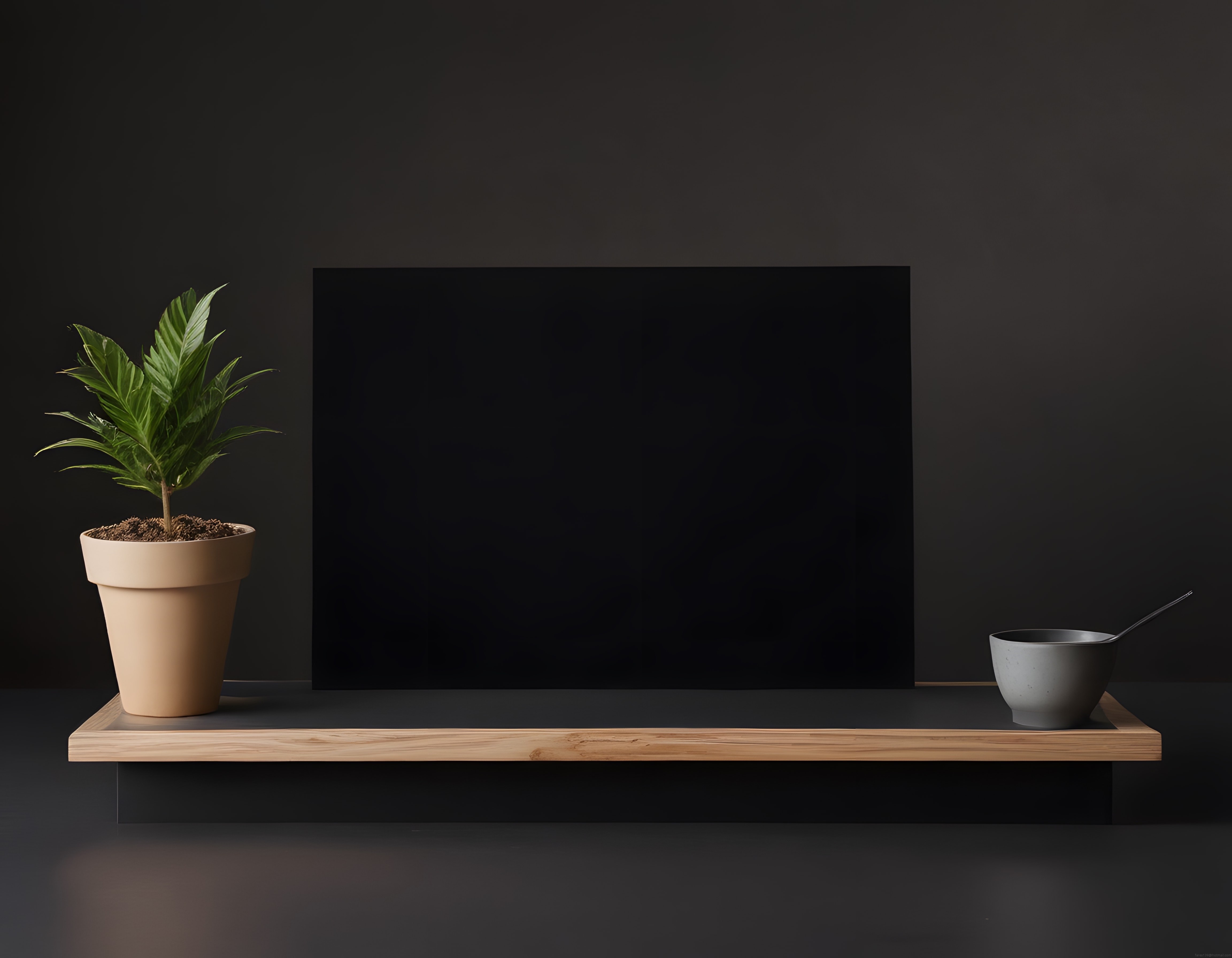 Minimalist Siyah Arka Planlı Modern Ev Dekorasyonu ve Saksı Bitkisi