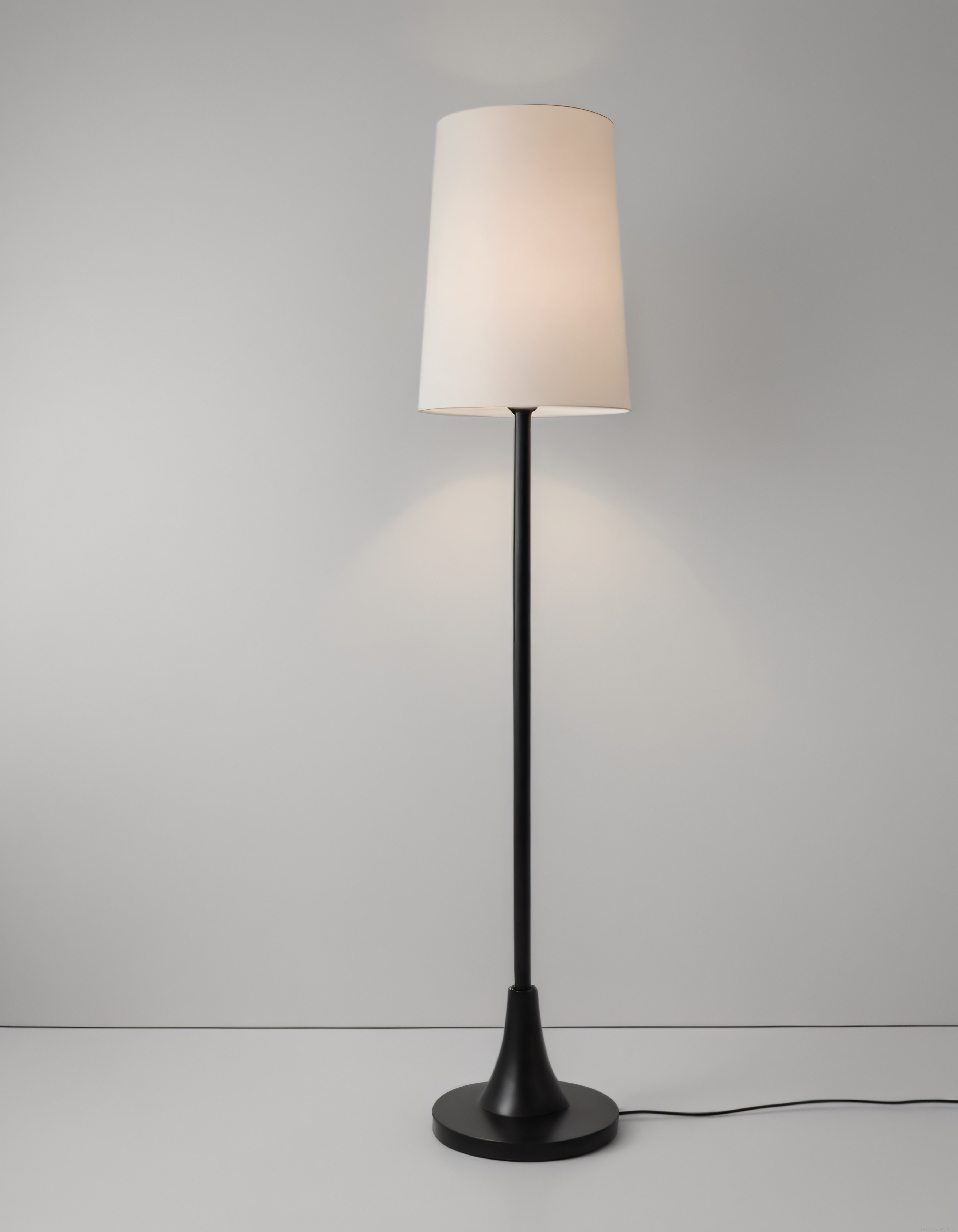 Minimalist Siyah Lambader ve Beyaz Abajur ile Modern Salon Dekoru