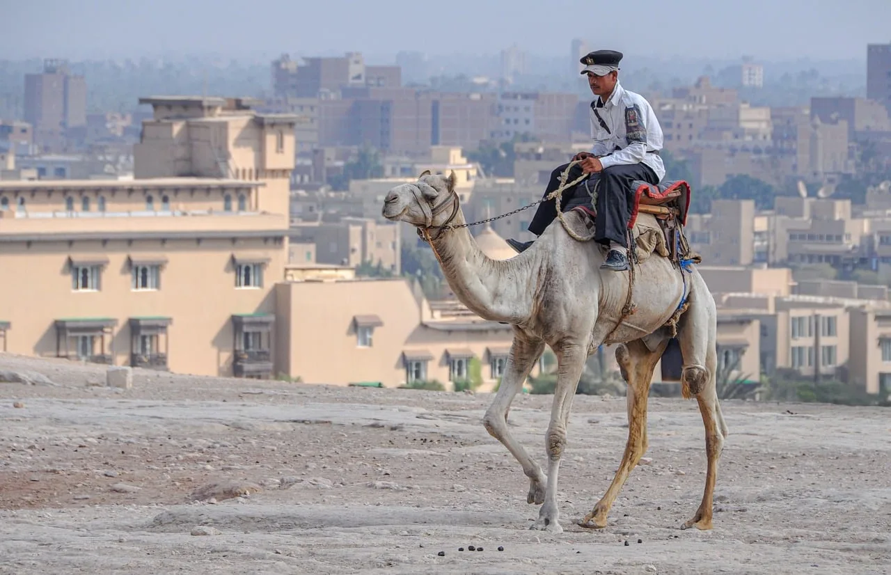 Mısır Giza Piramidi ve polis