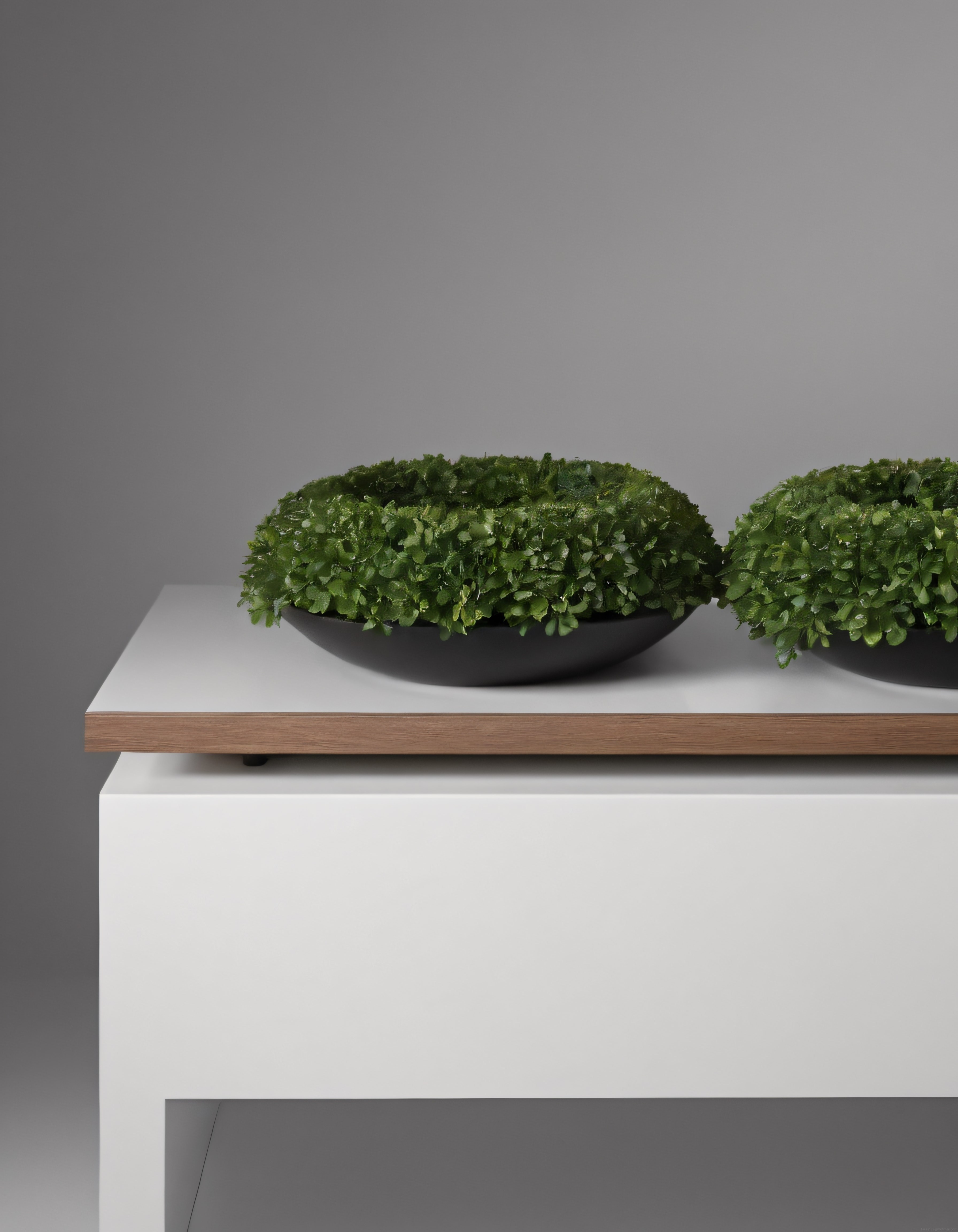 Modern İç Mekan Dekorasyonunda Minimalist Yeşil Bitki Aranjmanı