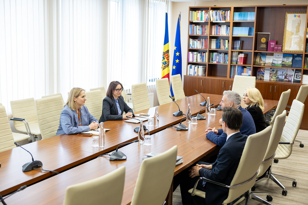 Moldova ve Avrupa Birliği bayrakları önünde resmi diplomatik heyet toplantısı