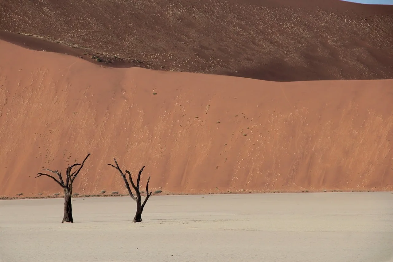 Namib çölü kum tepeleri - çöl manzarası