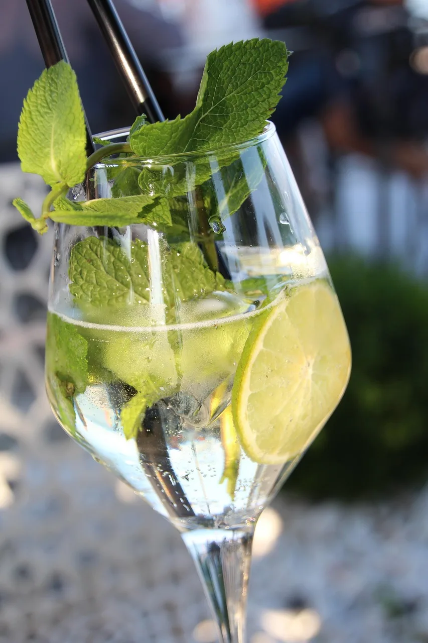 Naneli limonlu kokteyl fotoğrafı - ferah içecek