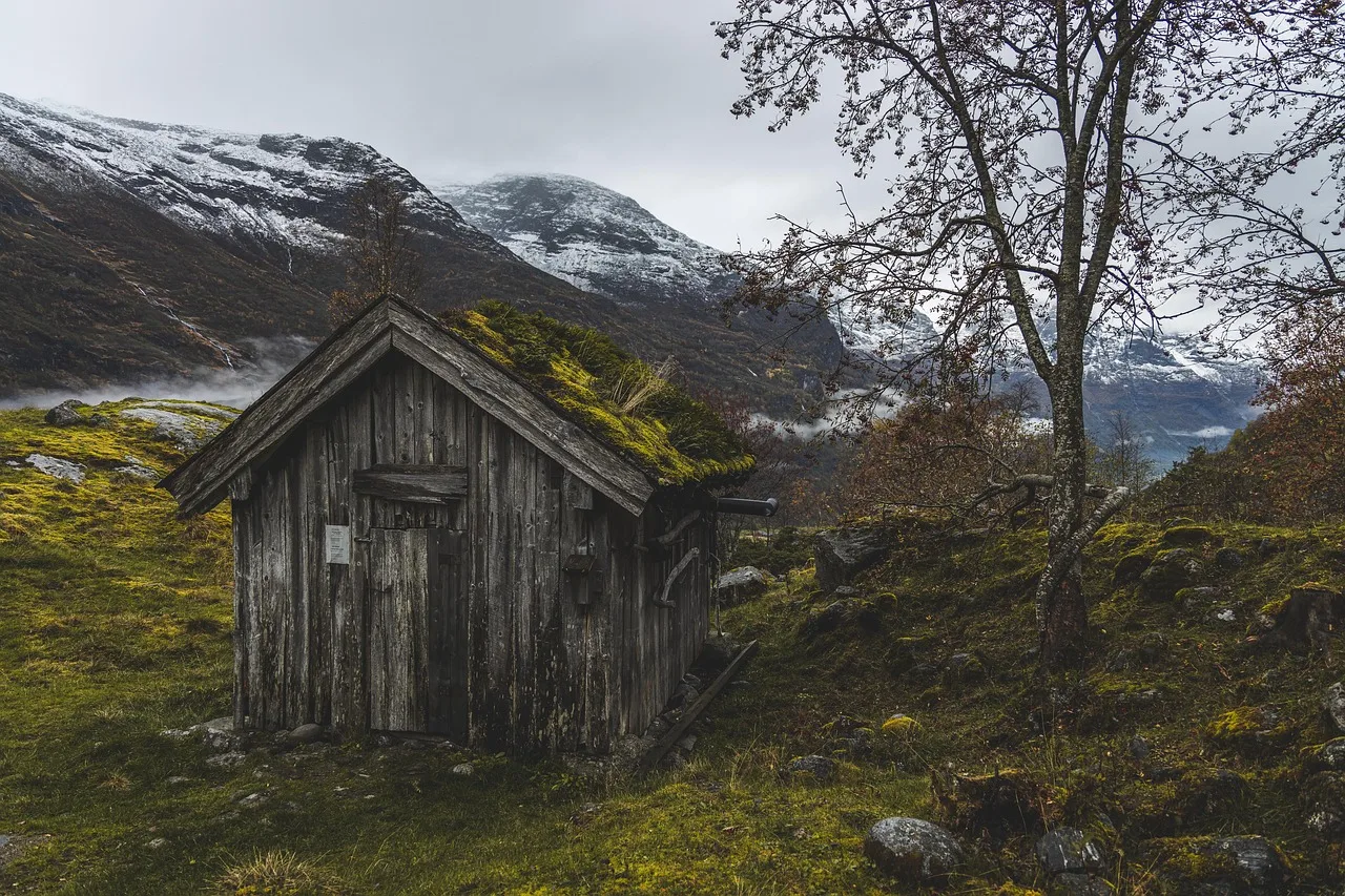 Norveç dağ evi - huzurlu doğa manzarası