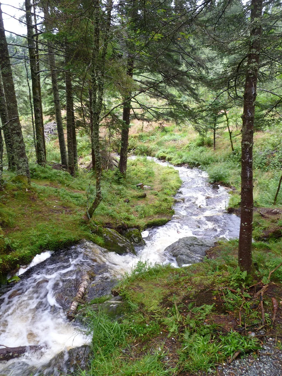 Norveç dağları ve akarsu manzarası - yeşil doğa