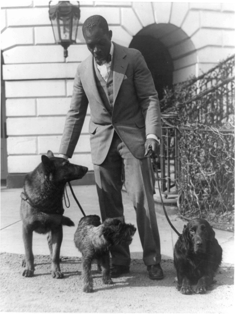 Nostaljik Siyah Beyaz Fotoğrafta Takım Elbiseli Adam ve Üç Köpeği
