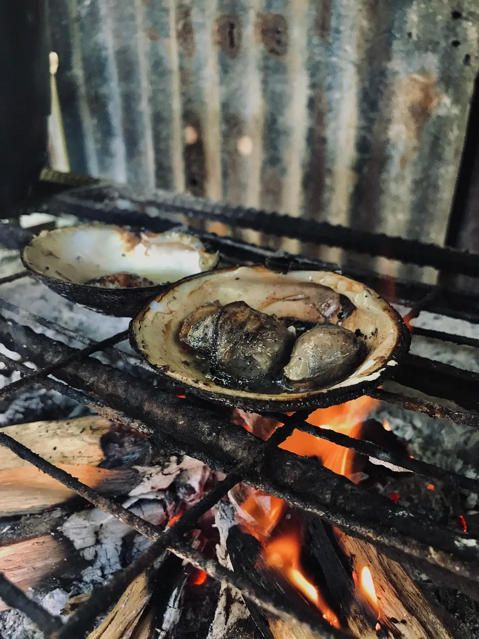 Ocakta kızaran deniz mahsullü lezzetli yemek sahnesi
