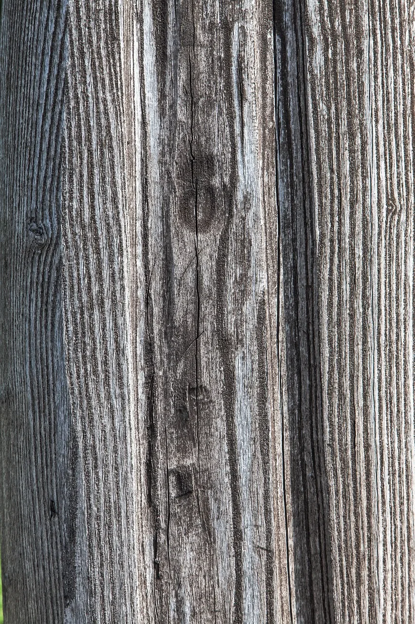 Odunsu desenli doğal ahşap doku fotoğrafı