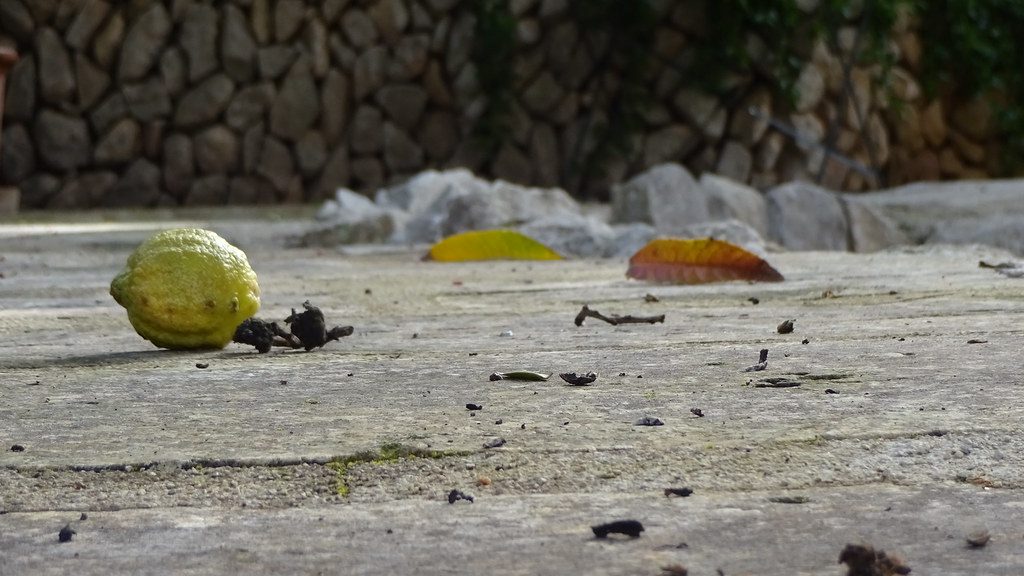 Olgun Limonun Taş Zemindeki Huzurlu Doğa Manzarası ve Yapraklar