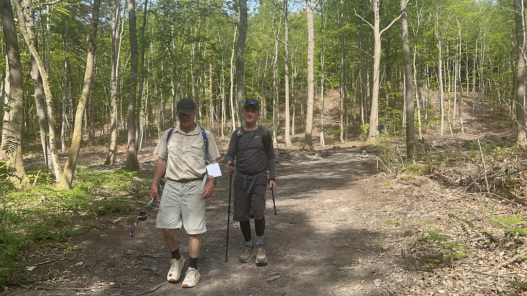 Orman içinde trekking yapan iki yürüyüşçü doğa yürüyüşü ve macera atmosferi Orman içinde trekking yapan iki yürüyüşçü doğa yürüyüşü ve macera atmosferi