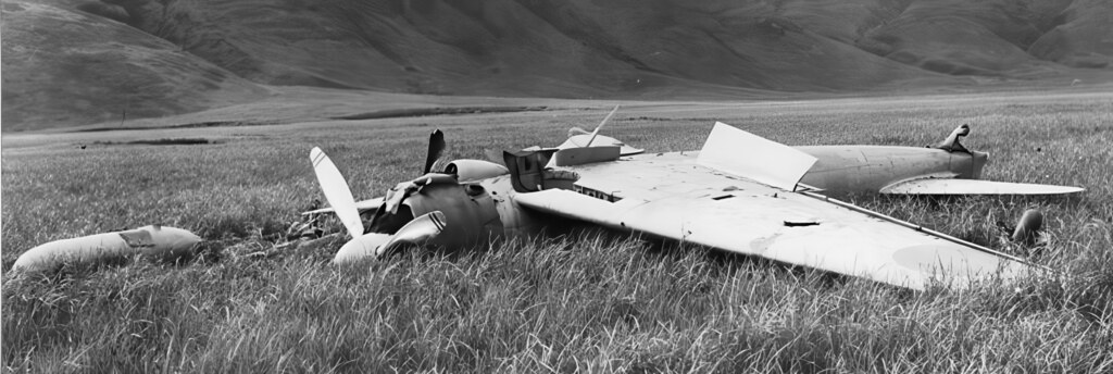 Otların Arasında Parçalanmış Bir Uçak Enkazı ve Siyah Beyaz Dağ Manzarası