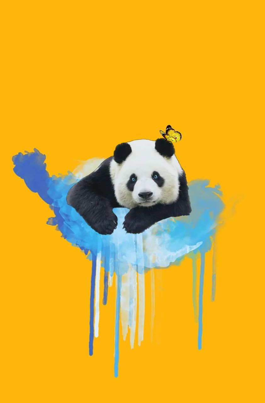 Panda boyalı kelebekli fantezi fotoğrafı