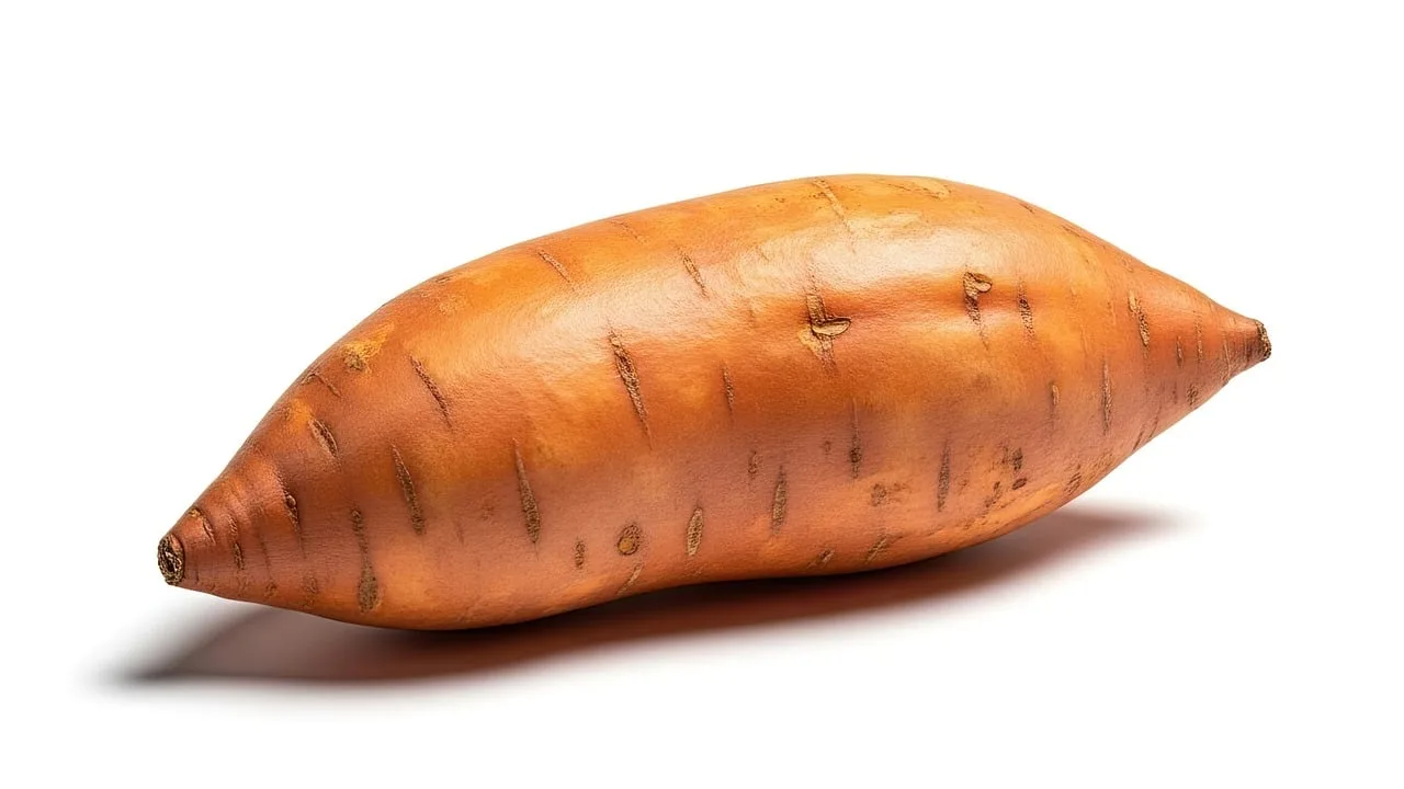 Patates ve tatlı patates organik fotoğrafı - sağlıklı sebze