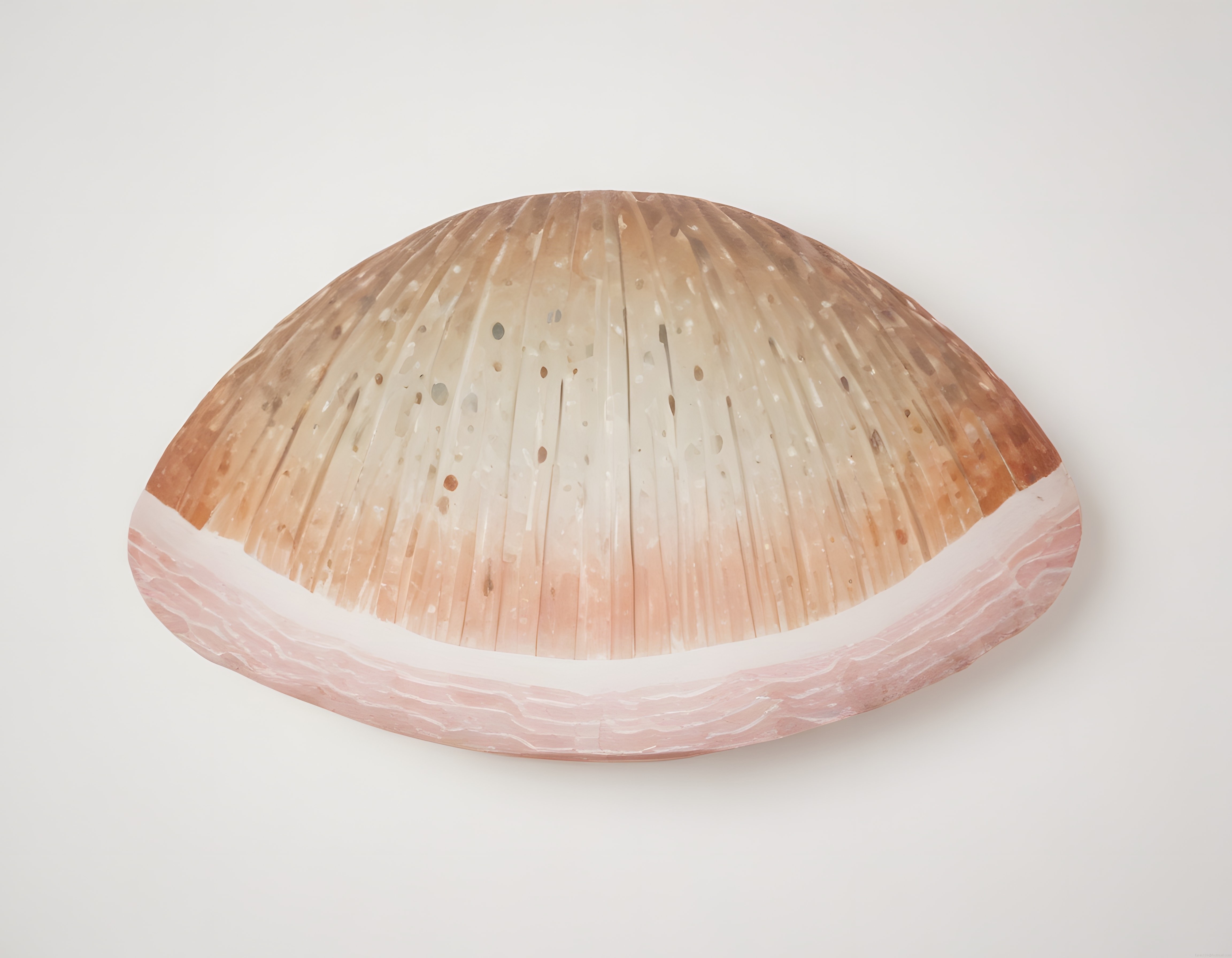 Pembe Doğal Taş ve Deniz Kabuğu Formunda Modern Dekoratif Sanat Eseri