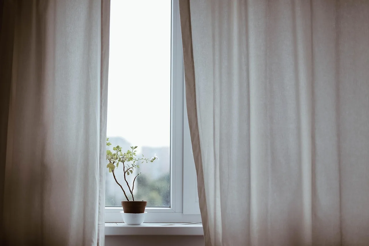 Pencere önünde minimalist saksı bitkisi dekorasyonu