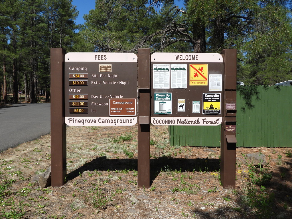 Pinegrove Kamp Alanı Bilgi Tabelası ve Coconino Ormanı Manzarası