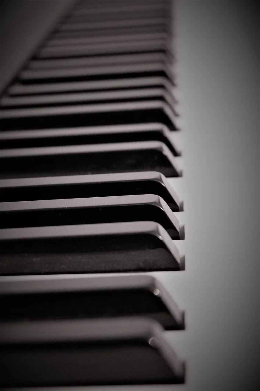 Piyano tuşlarıyla melodik konser sahnesi
