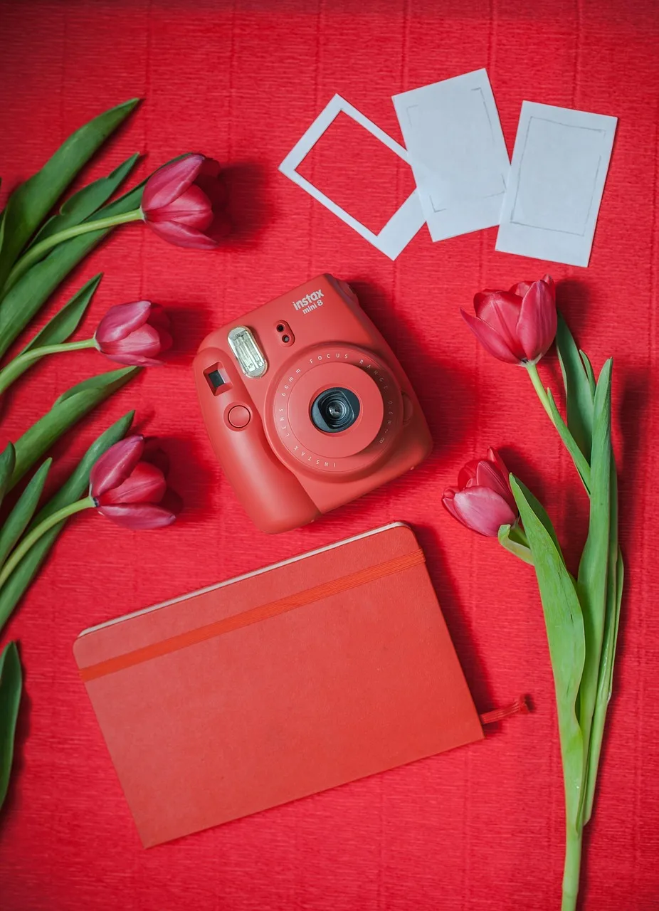 Polaroid kamera ile lale fotoğrafı - vintage dokunuş