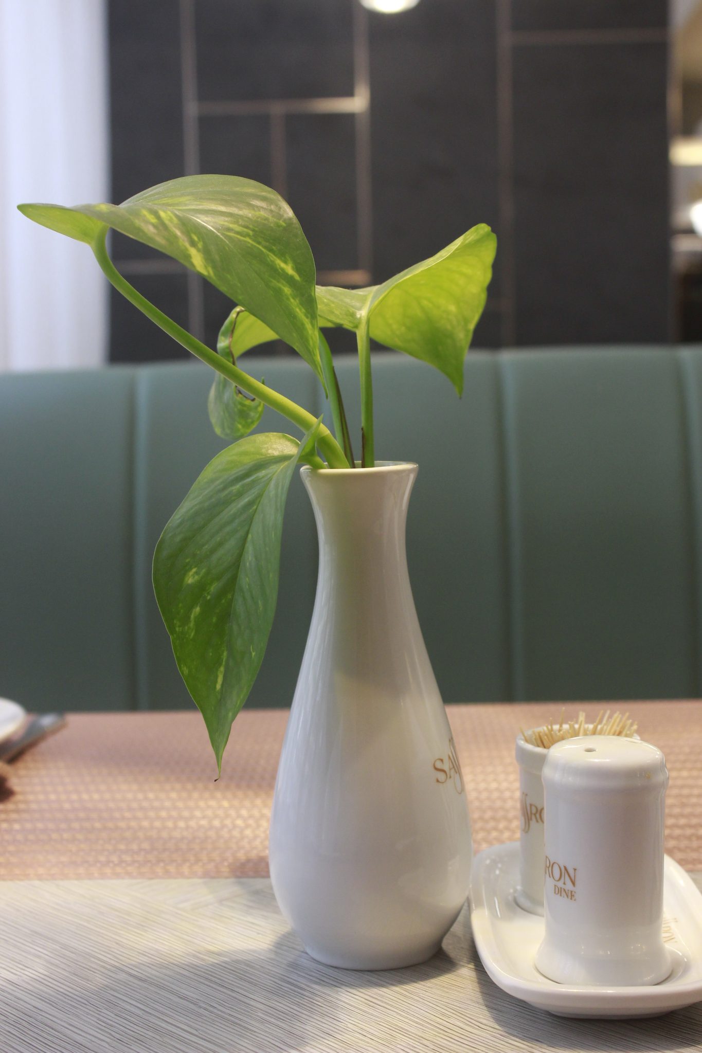 Restoran masasında beyaz vazoda canlı yeşil sarmaşık bitkisi ve minimal masa düzeni