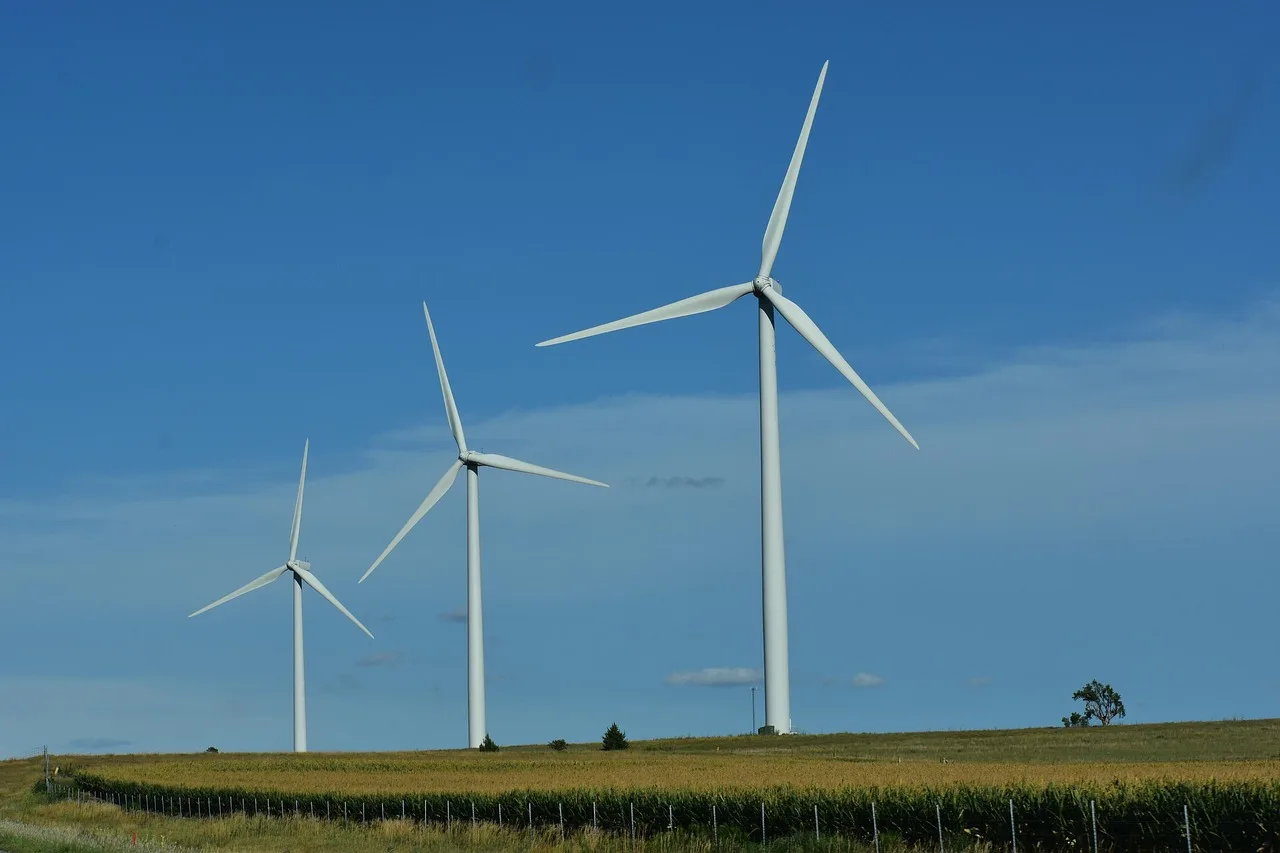Rüzgar enerjili beyaz yel değirmeni çiftliği