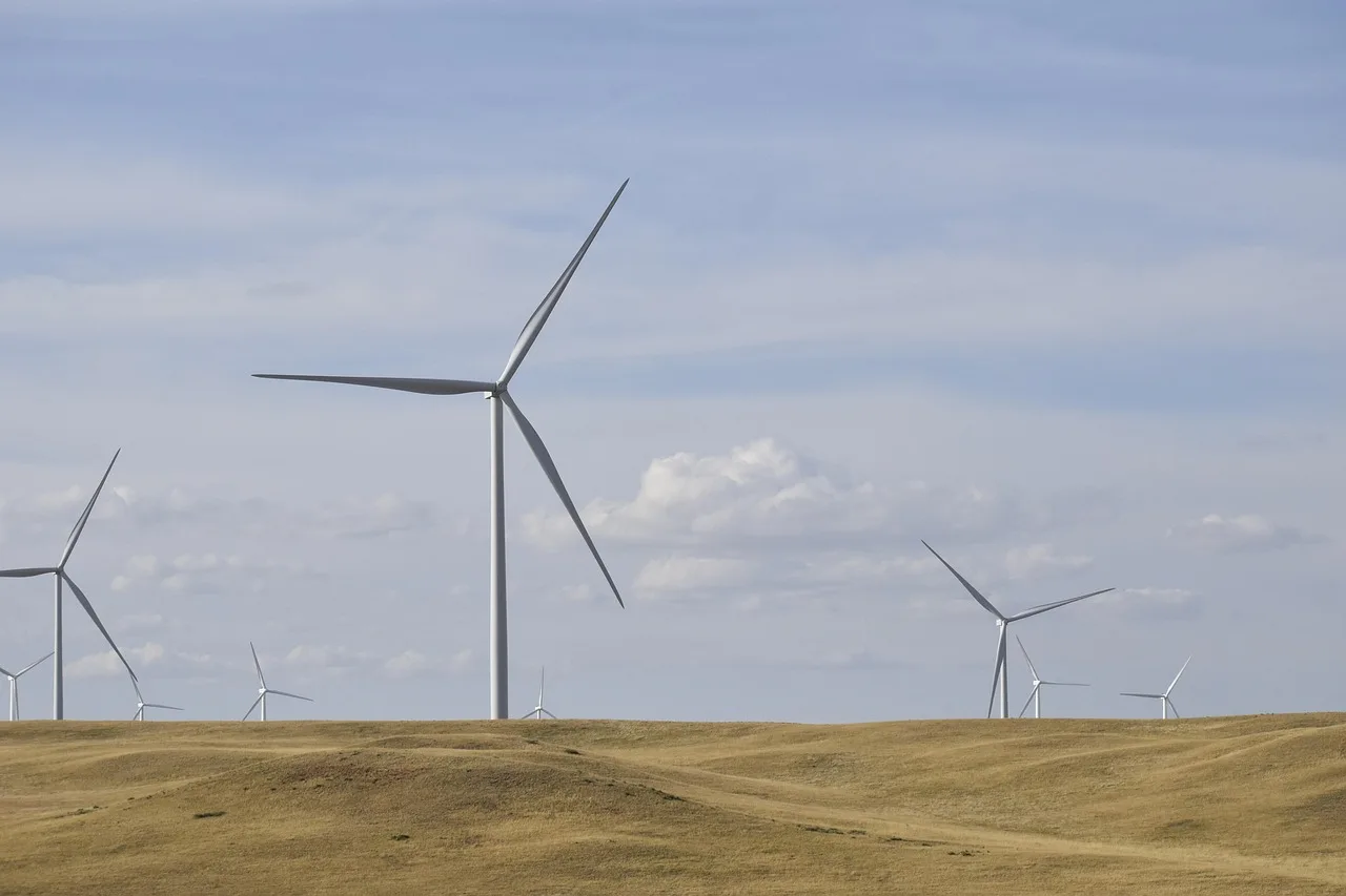 Rüzgar türbini enerji güç kaynağı – doğal alan