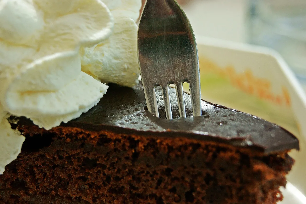 Sacher torta çikolatalı dilim - lezzetli tatlı