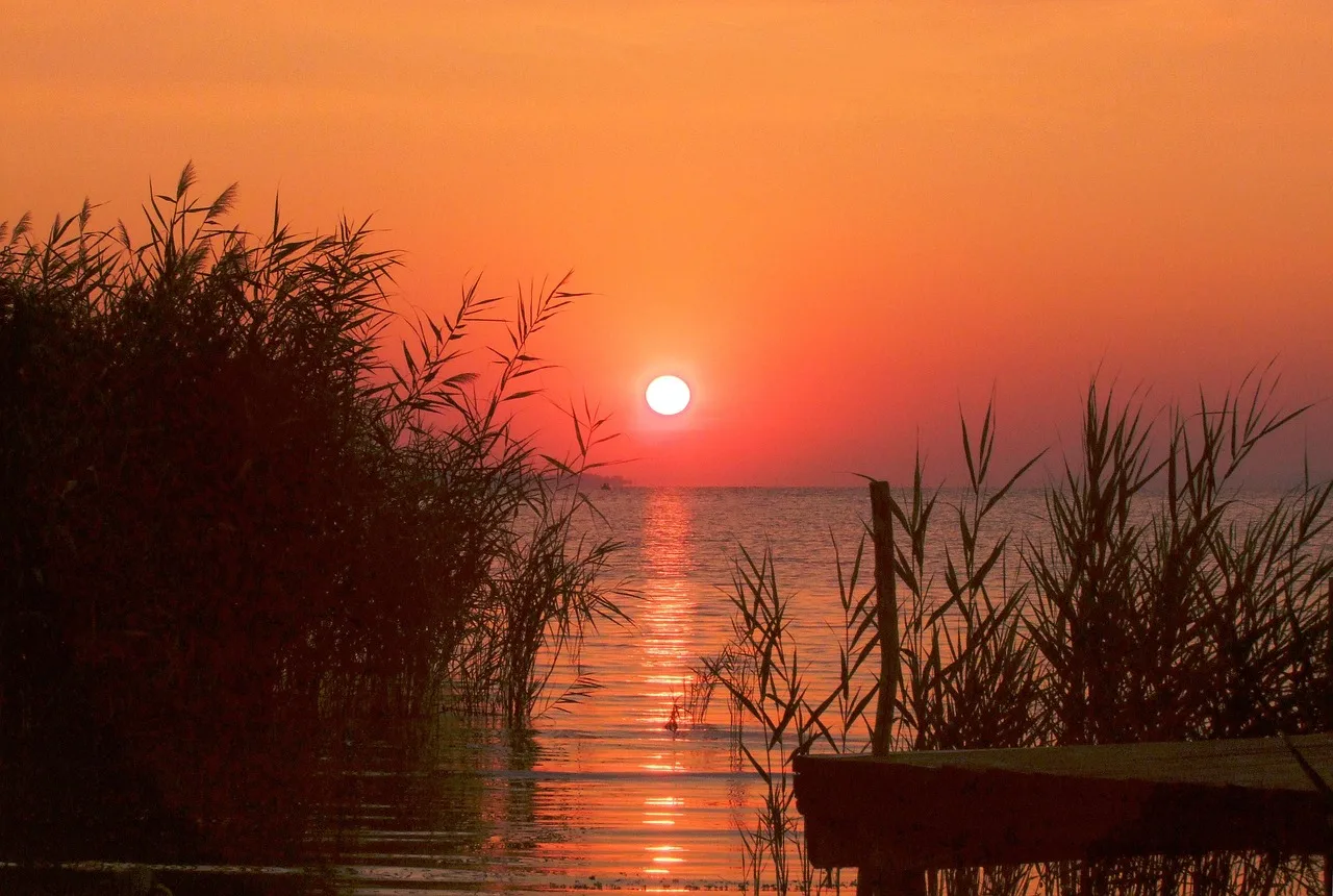 Şafak ışıklarıyla göl kenarı kamışı - Balaton manzarası